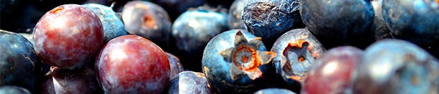 blueberries.jpg