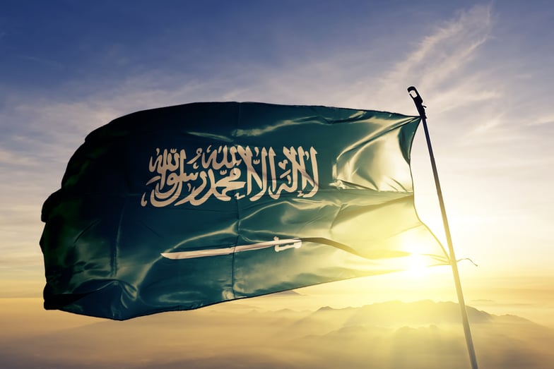 Selerant_Saudi-Arabia-contaminants