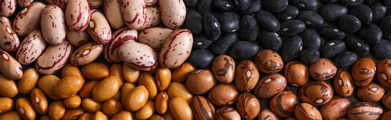 beans.jpg