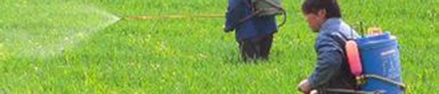 pesticide field.jpg