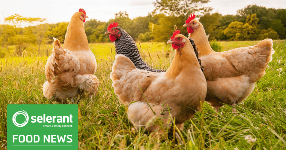Selerant_FDA-negative-claims-gmo-bioengineered-food-feed-December-2019